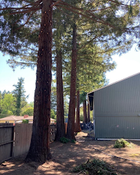 Abraham's Professional Tree Service - Photo 7 - Car repair in Santa Rosa, CA, Santa Rosa