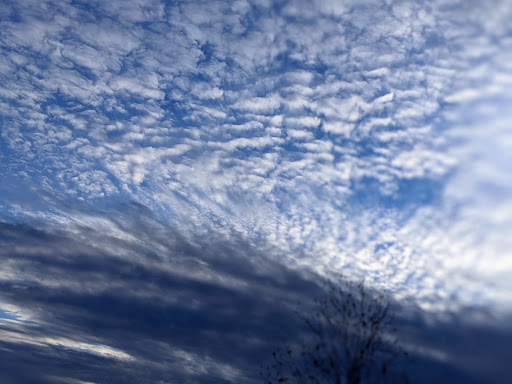 Department Store «Walmart Supercenter», reviews and photos, 260 Donald E Thurmond Pkwy, Cleveland, GA 30528, USA