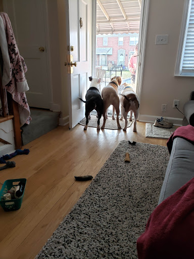 Shopping Mall «Merritt Park Shopping Center», reviews and photos, 1762 Merritt Blvd, Dundalk, MD 21222, USA