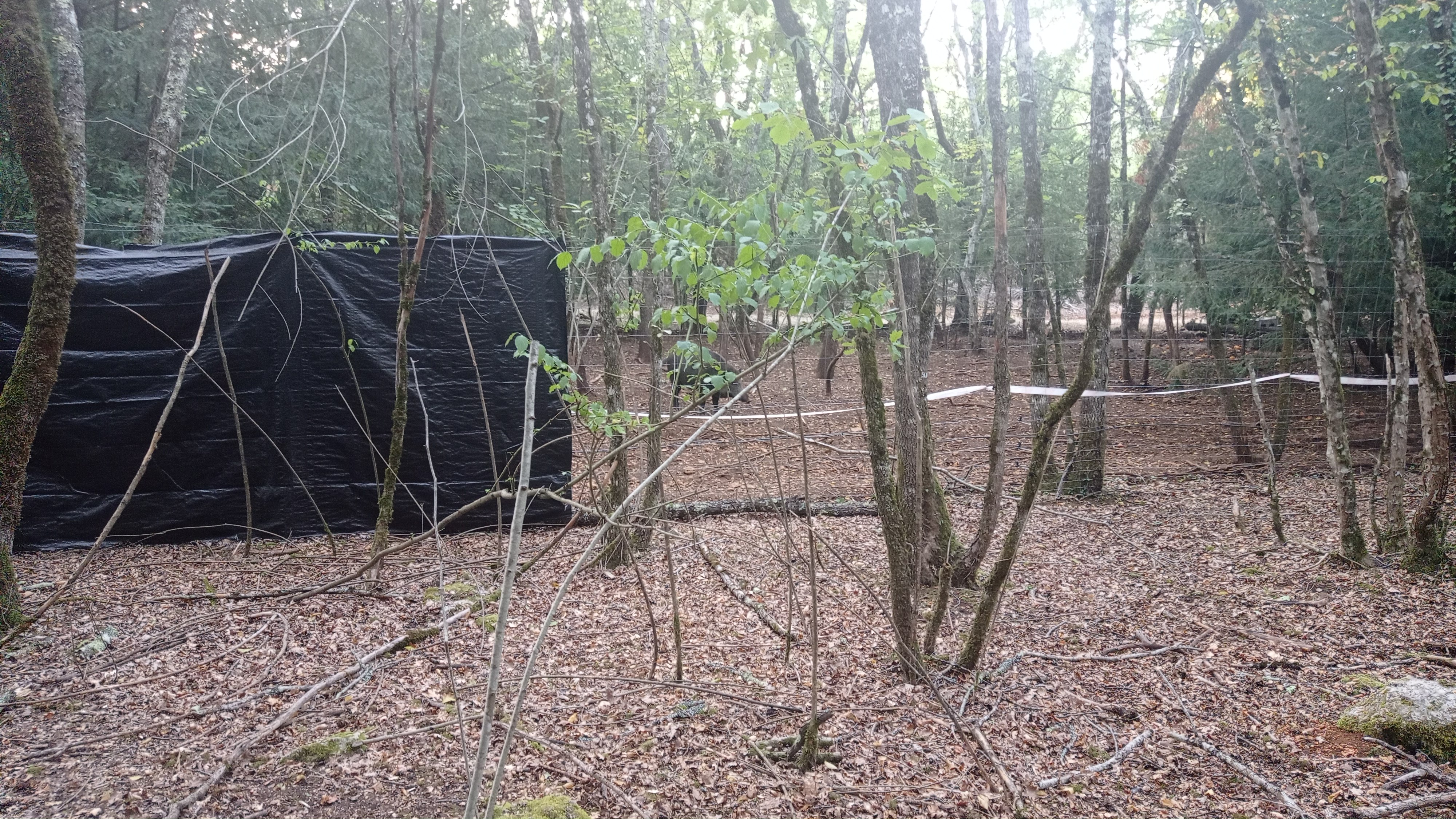 Photo n° 11 de l'avis de alain.o fait le 23/08/2022 à 08:56