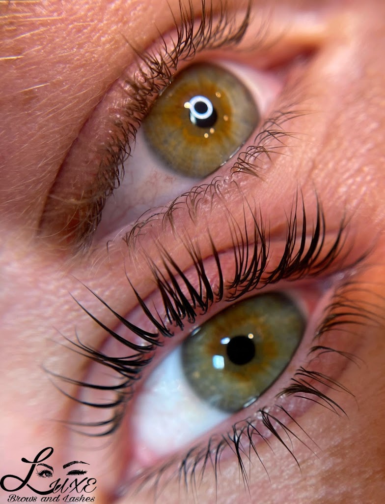 LUXE Brows and Lashes 36542