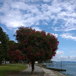 Photo n°5 de l'avis de LucaS. fait le 24/07/2020 à 01:04 sur le  Europalace Hotel à Verbania