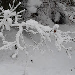 Photo n°2 de l'avis de Paola.a fait le 07/01/2023 à 11:18 sur le  Boutique Hotel Dolomit à La Villa