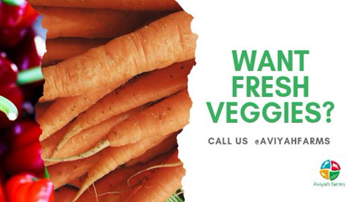 Aviyah Farms, Ashi Bodija, LGA, Ibadan, Nigeria, Discount Supermarket, state Oyo