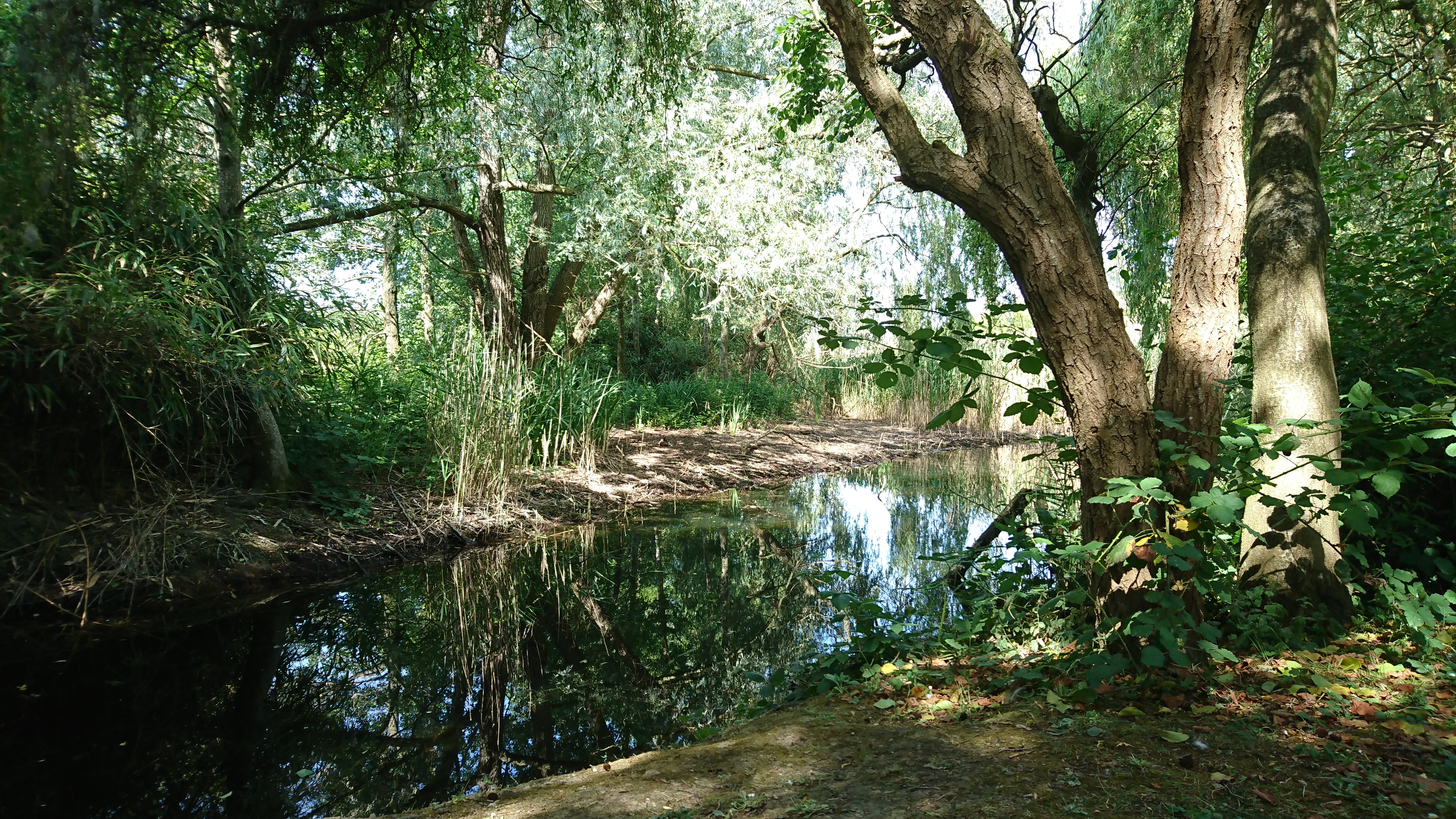 Photo n° 3 de l'avis de Aleksandar.e fait le 05/10/2017 à 07:29