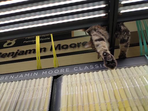 Hardware Store «Ace Hardware/Lumber of Pilot Point», reviews and photos, 316 US-377, Pilot Point, TX 76258, USA