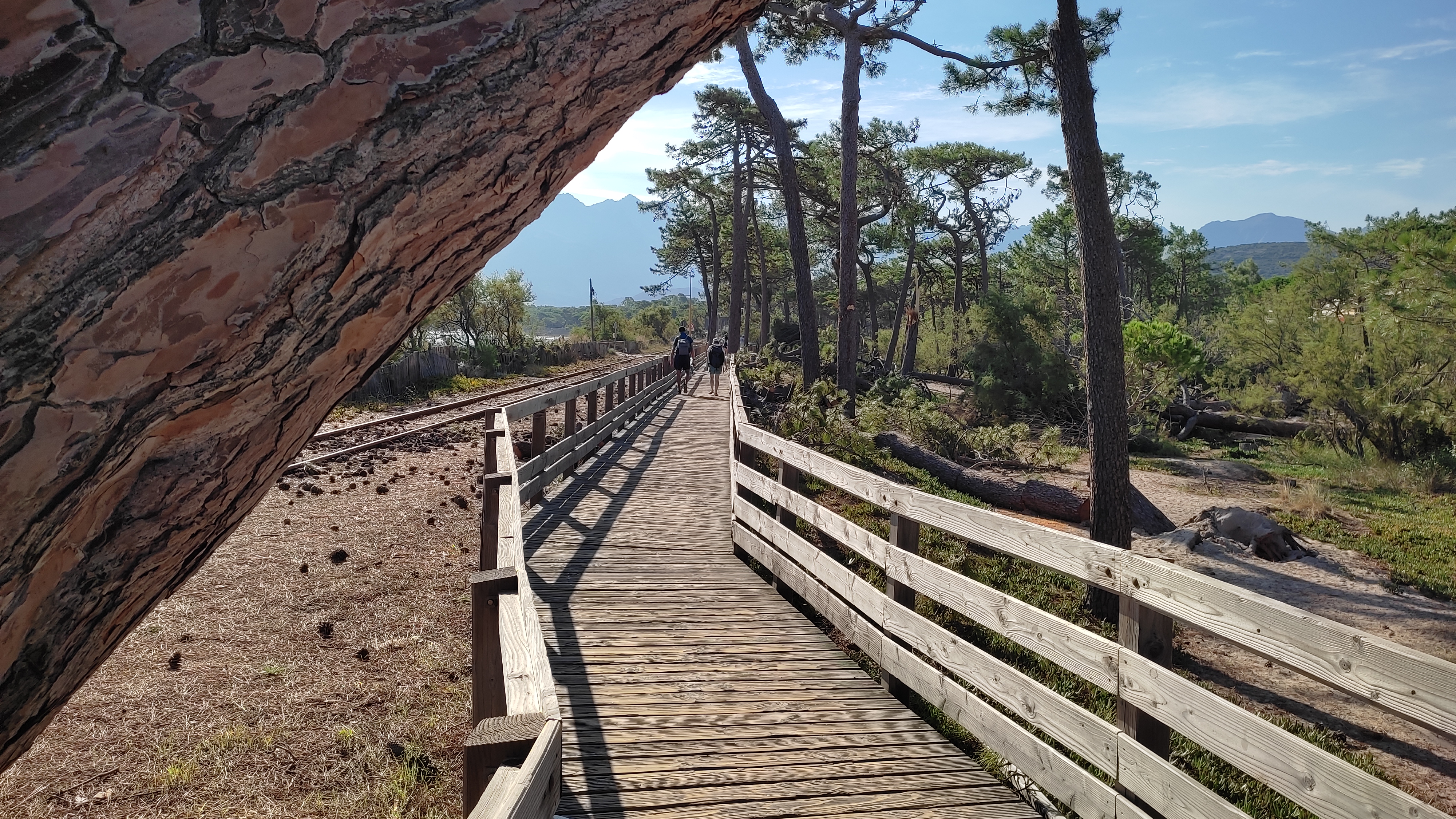 Photo n° 3 de l'avis de Cécile.o fait le 31/08/2022 à 13:31