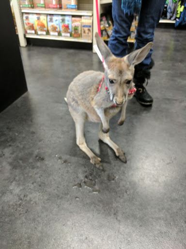 Pet Supply Store «Pet Pros Puyallup», reviews and photos, 5614 176th St E, Puyallup, WA 98375, USA