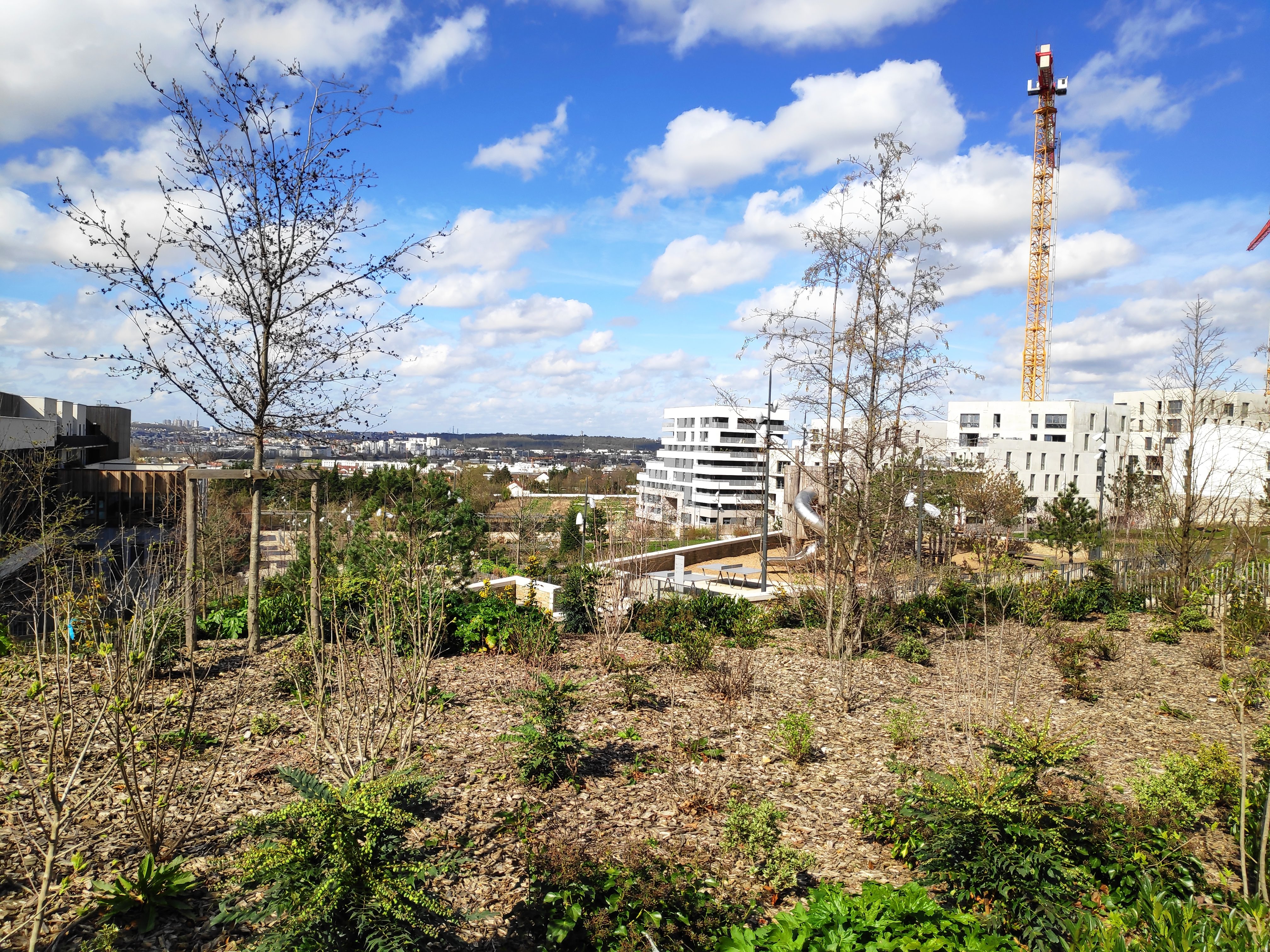 Photo n° 20 de l'avis de Emil.e fait le 15/03/2020 à 13:06