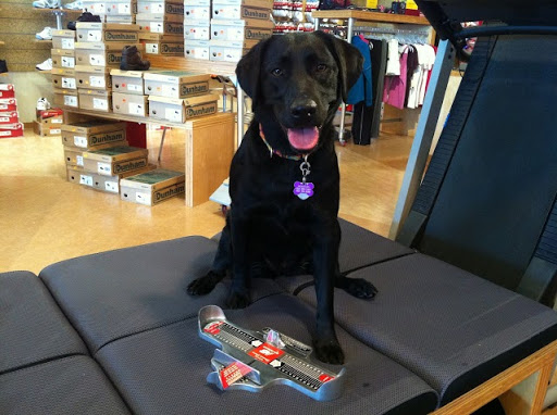 Shoe Store «New Balance Williston», reviews and photos, 28 Walnut St, Williston, VT 05495, USA