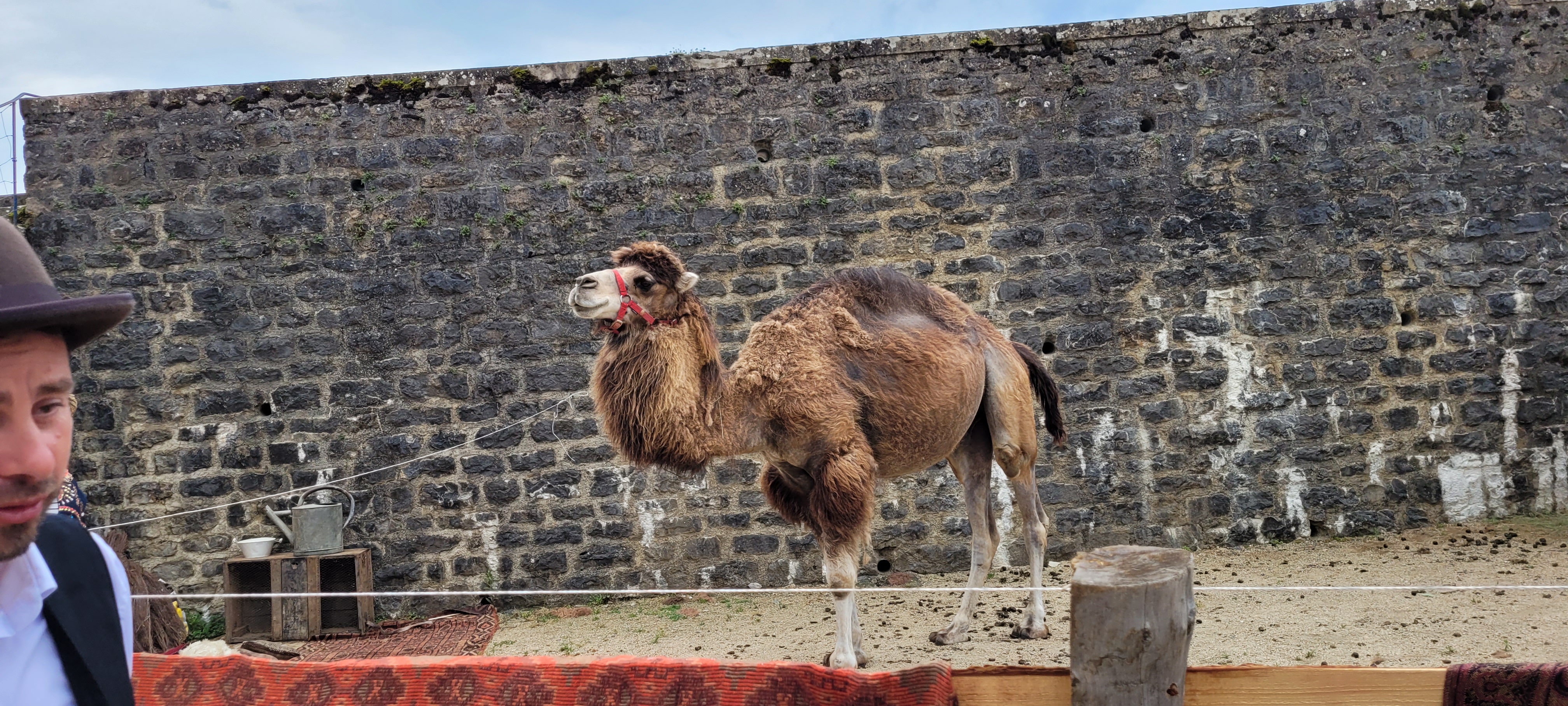 Photo n° 5 de l'avis de Vivi.a fait le 23/06/2023 à 20:59