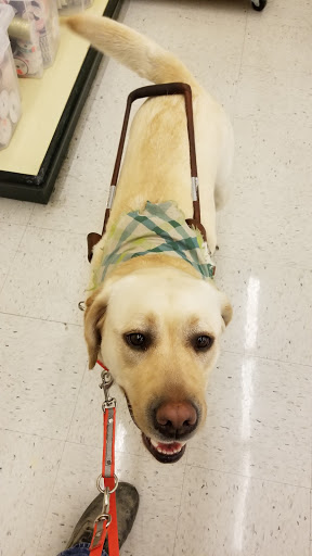 Craft Store «Hobby Lobby», reviews and photos, 1580 Wesel Blvd c, Hagerstown, MD 21740, USA