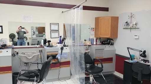 Barber Shop «Cardinal Barber Shop», reviews and photos, 27309 Five Mile Road, Redford Charter Twp, MI 48239, USA