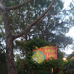 Photo n°6 de l'avis de Killvix. fait le 12/06/2023 à 20:58 sur le  Ristorante Pizzeria Mille Luci à Lido di Jesolo