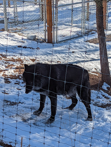 Wildlife Park «Colorado Wolf and Wildlife Center», reviews and photos, 4729 Twin Rocks Rd, Divide, CO 80814, USA