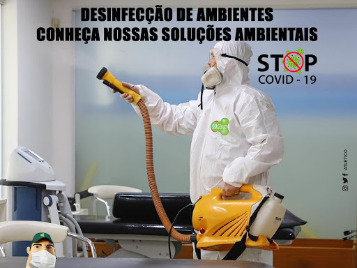 Logo da empresa - Dedetização BH - BD Clean - Orçamento na hora