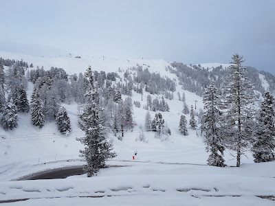 Plagne La Roche à La Plagne-Tarentaise