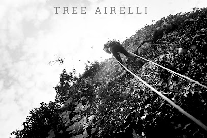 Baumpflege Tree Airelli