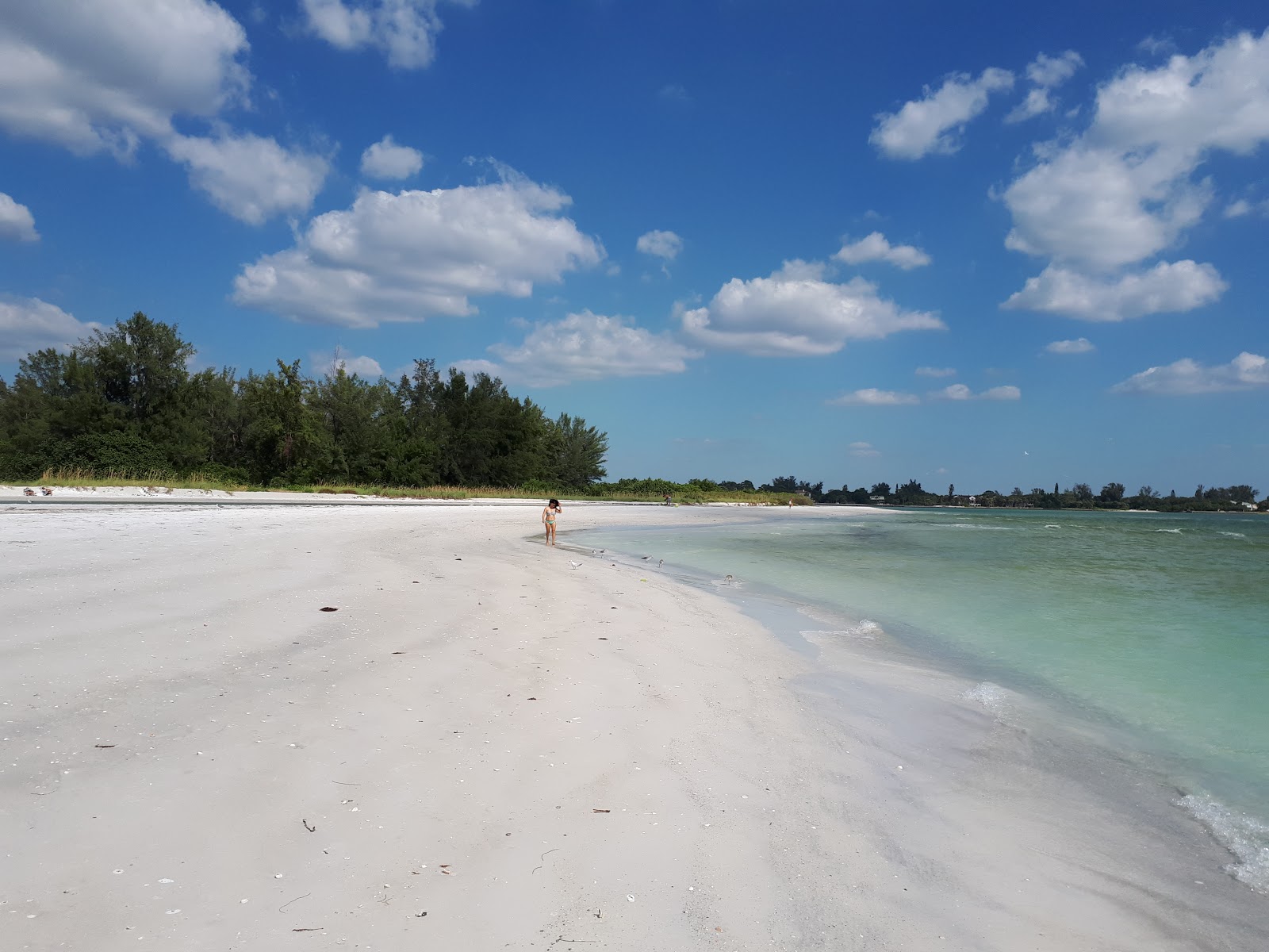 Photo de South Lido Key beach - endroit populaire parmi les connaisseurs de la détente