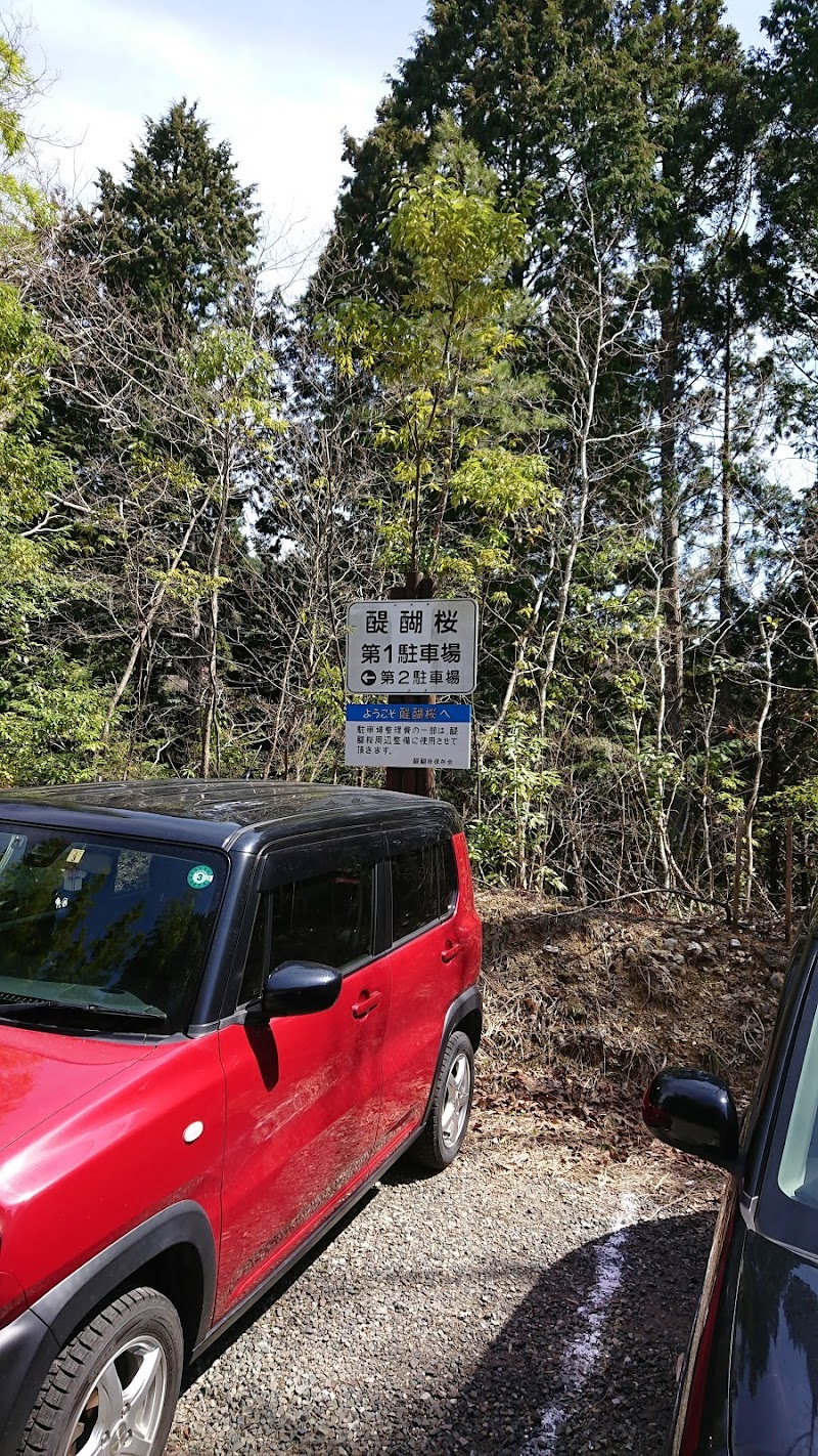 醍醐桜第１駐車場