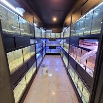 Pet Food Center North - Photo 3 - Car repair in Evansville, IN, Evansville