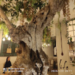 Photo n°1 de l'avis de Simona.a fait le 01/02/2024 à 06:48 sur le  Life Ristorante Sano à Genoa