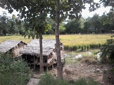 Photos of Kyetpaung Reserved Forest