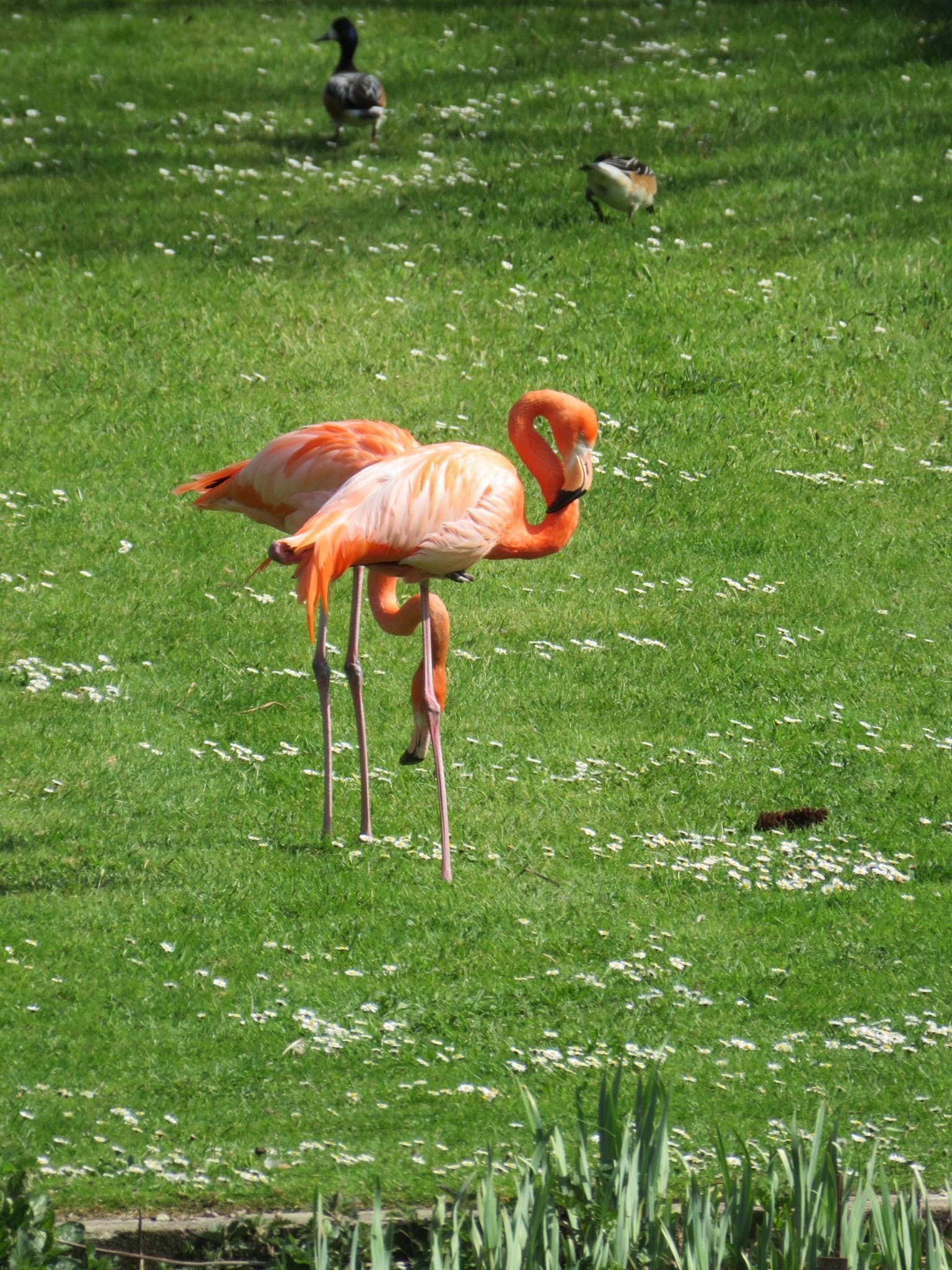 Photo n° 7 de l'avis de Delphine.� fait le 17/04/2022 à 17:54