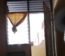 Penginapan Syariah photo