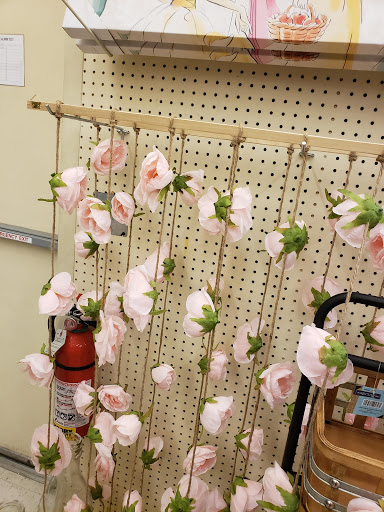 Craft Store «Hobby Lobby», reviews and photos, 10045 W McDowell Rd, Avondale, AZ 85392, USA