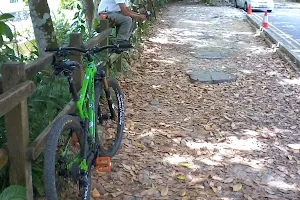 Bukit Timah Mountain Bike Trail image