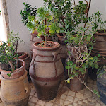 Photo n°6 de l'avis de William. fait le 02/07/2022 à 10:34 sur le  Hotel L'Approdo à Castrignano del Capo