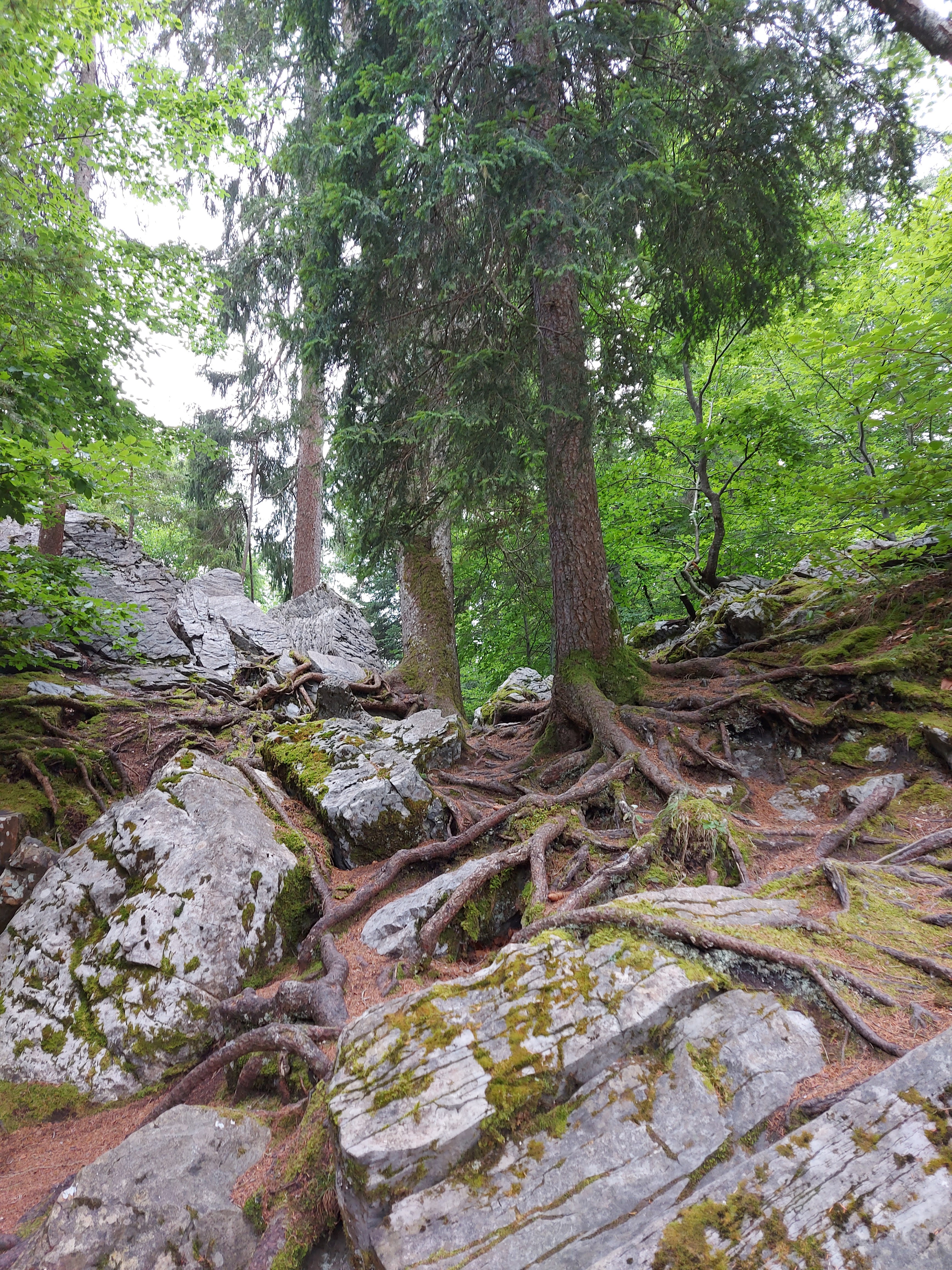 Photo n° 3 de l'avis de B.v fait le 07/08/2022 à 18:44