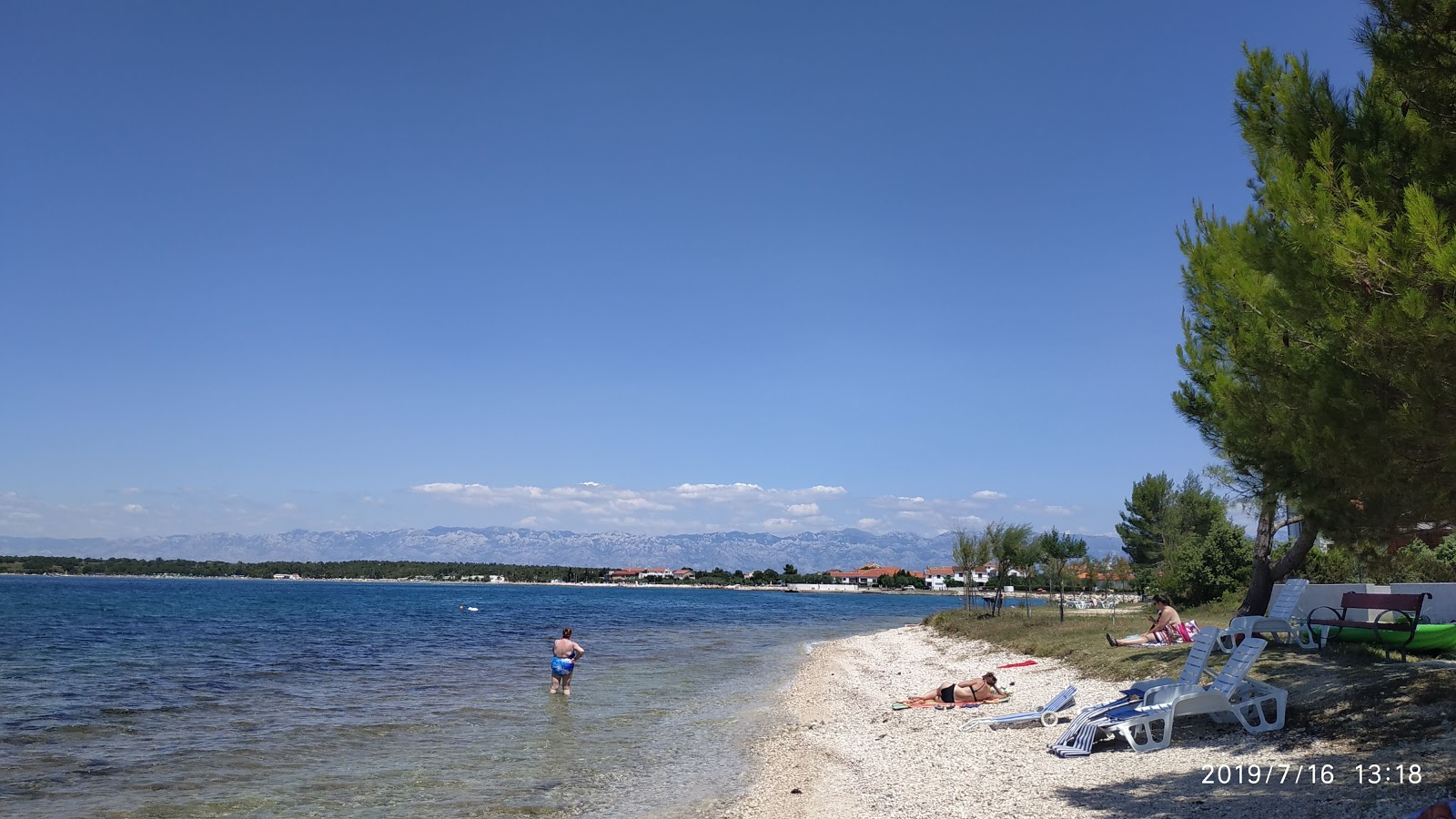Plaza Punta'in fotoğrafı - tatil için iyi evcil hayvan dostu nokta