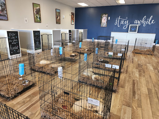 Craft Store «Hobby Lobby», reviews and photos, 4236 US-98, Lakeland, FL 33809, USA