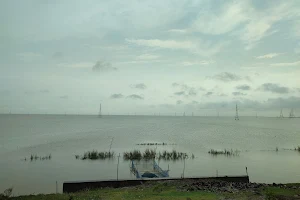 Mokama Tal Agriculture Land Viewpoint image