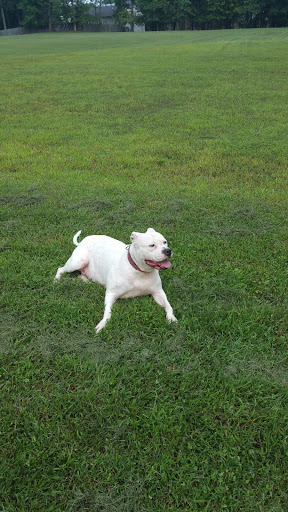 Community Center «Plum Gar Community Center», reviews and photos, 19561 Scenery Dr, Germantown, MD 20876, USA