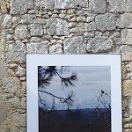 Photo n° 15 de l'avis de Dominique.i fait le 22/08/2022 à 12:23 pour Camp de Siège Médiéval à Larressingle