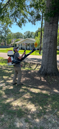 Mosquito Maverick - Photo 8 - Car repair in , Jackson