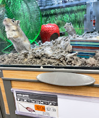 Petco - Photo 3 - Car repair in Union, NJ, Staten Island