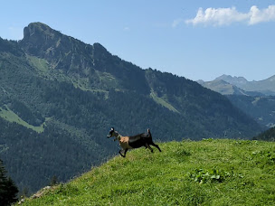 Photo n°43 de Ferme Auberge de Fréterolles à Morzine ()
