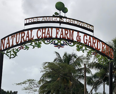 Natural Chai Farm