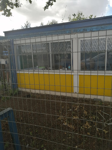 Escuela Básica El Canelo