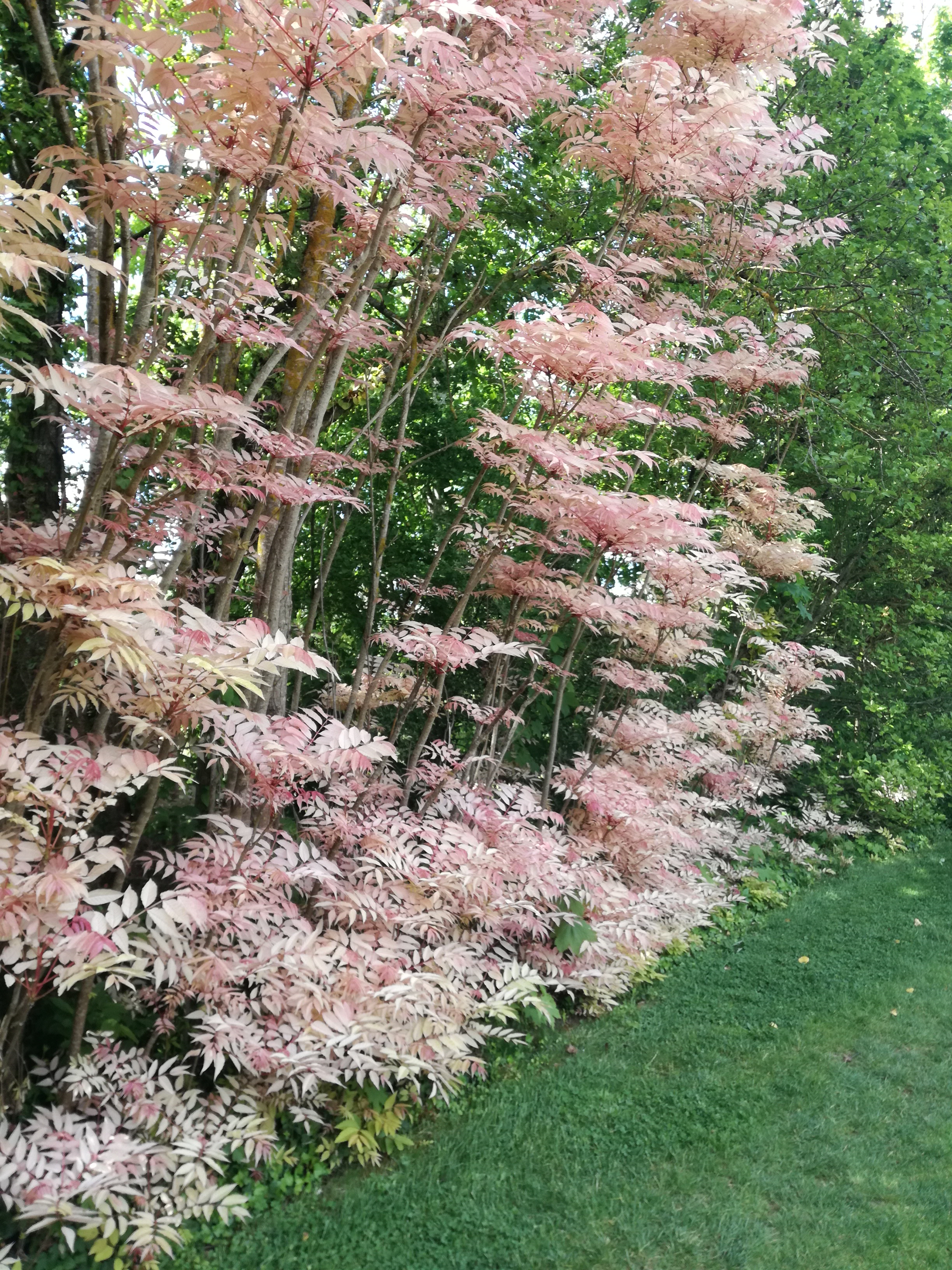 Photo n° 5 de l'avis de lou.s fait le 29/04/2019 à 14:08