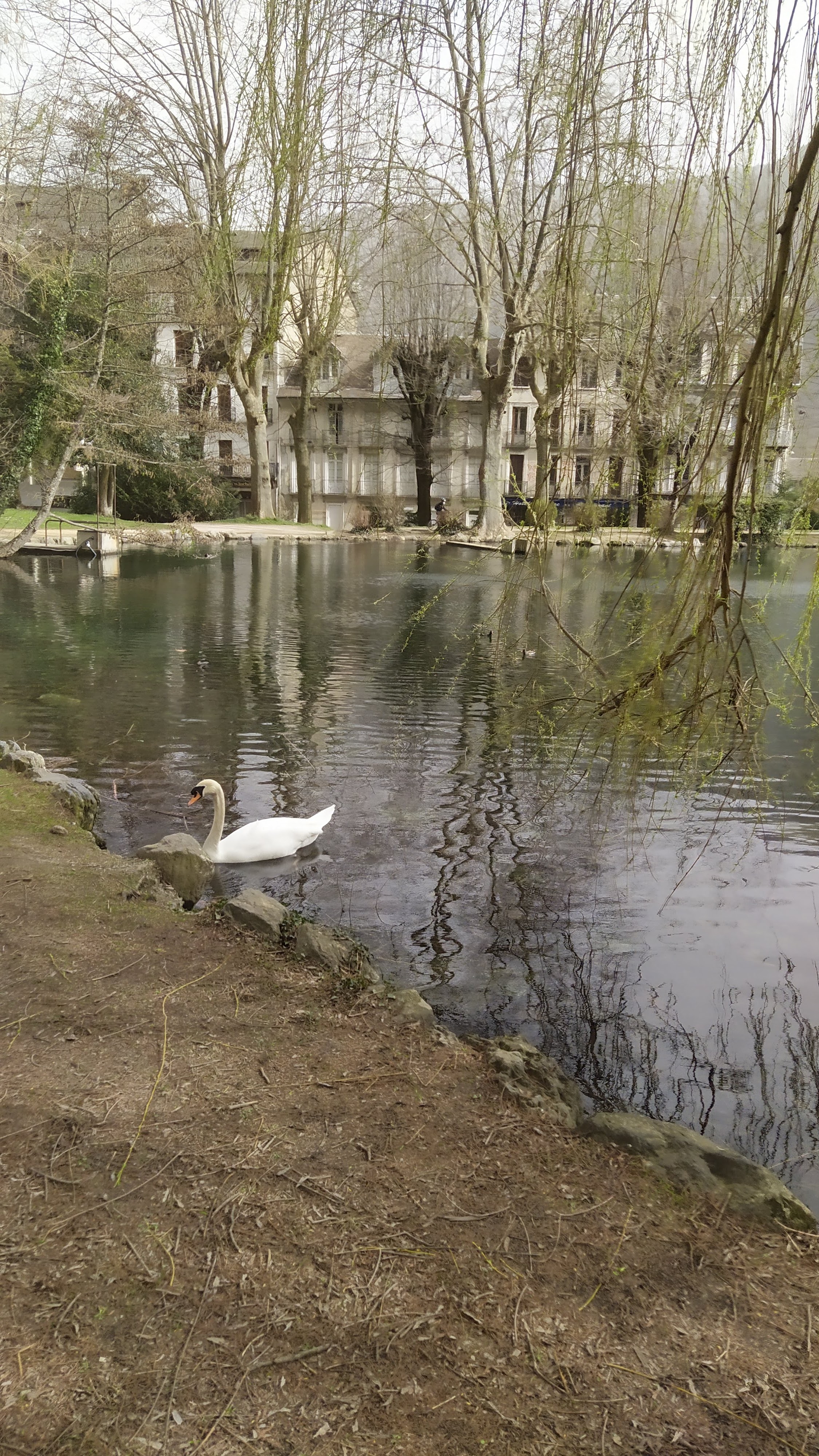 Photo n° 8 de l'avis de Veronique.o fait le 22/02/2021 à 01:01