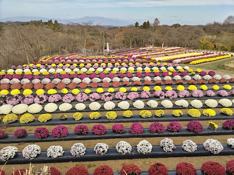 桜里の里やまひさ農園