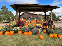 Curvue Tree Farm + Gardens - Photo 9 - Car repair in Eau Claire, WI, Eau Claire