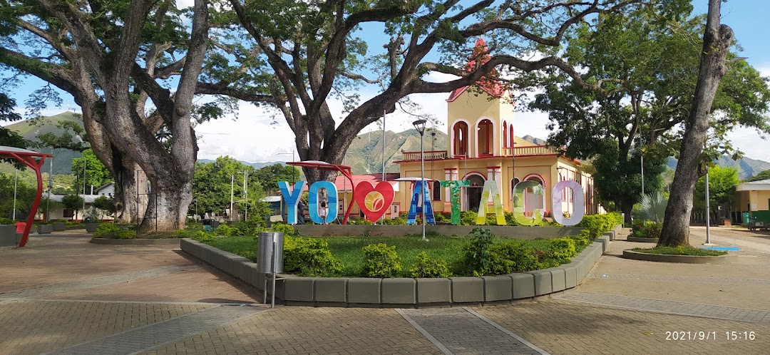 ALCALDÍA MUNICIPAL