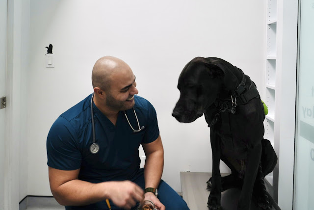 Beach Avenue Animal Hospital - Vancouver