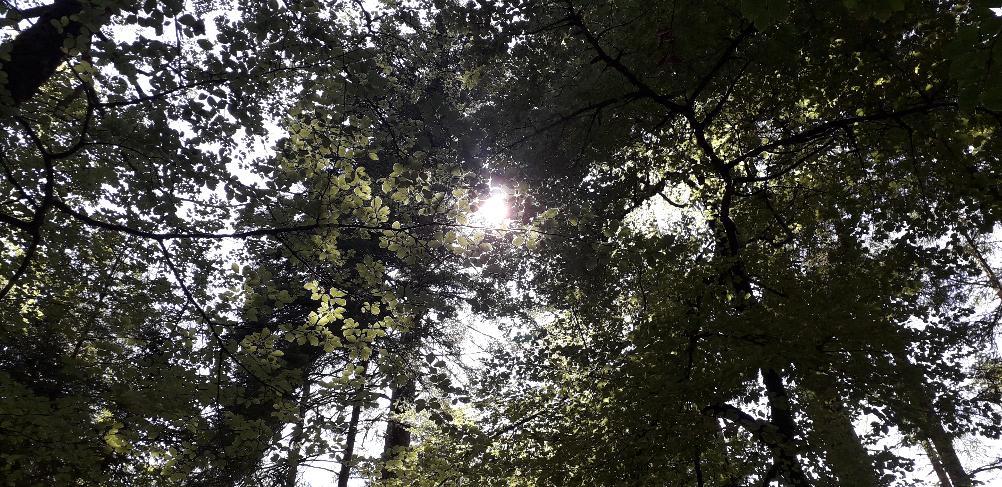 Photo n° 3 de l'avis de Pascal.O fait le 16/07/2019 à 14:03
